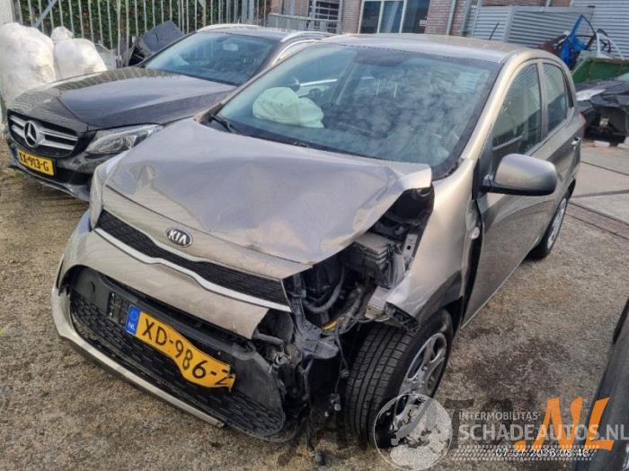 Kia Picanto Picanto (JA), Hatchback, 2017 1.0 12V