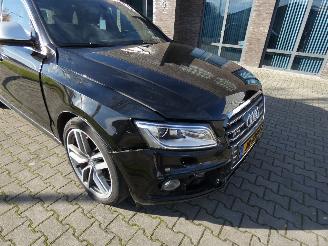 Audi SQ5 3.0 TDI SQ5 q. Pro L picture 32