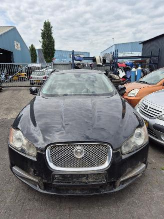 demontáž osobní automobily Jaguar XF (CC9) 2.7 D V6 24V Sedan, 4Dr, Diesel, 2.720cc, 152kW (207pk), RWD, 7G; AJTDV6 2008/1