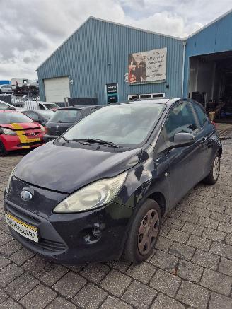 Ford Ka II Hatchback 1.2 (169.A.4000(Euro 4; Euro 5)) [51kW] picture 2