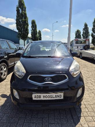 Salvage car Kia Picanto (TA) Hatchback 1.0 12V (G3LA) [51kW] 5-BAK 2012/1