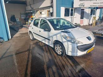 Peugeot 206+ 206+ (2L/M) Hatchback 1.1 XR,XS (TU1JP(HFV) picture 3