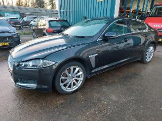 skadebil auto Jaguar XF 2.2 Diesel 2014/1