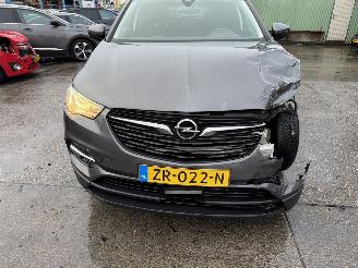 Opel Grandland X 1.2 Turbo 96KW Clima Navi Led 120 Jaar Edition NAP picture 15