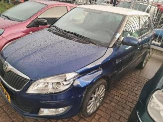 Auto da rottamare Skoda Fabia Fabia II (5J), Hatchback 5-drs, 2006 / 2014 1.2 TSI 2010/5