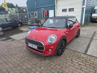 damaged passenger cars Mini Cooper  2019/12