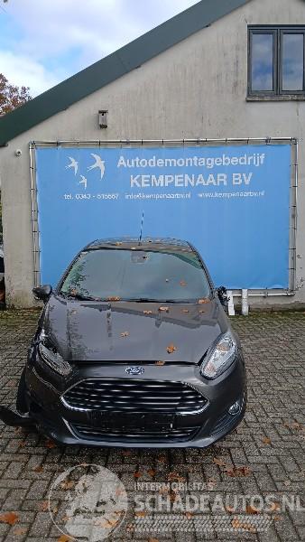Ford Fiesta Fiesta 6 (JA8) Hatchback 1.0 EcoBoost 12V 100 (SFJC) [74kW]  (01-2013/=
06-2017)