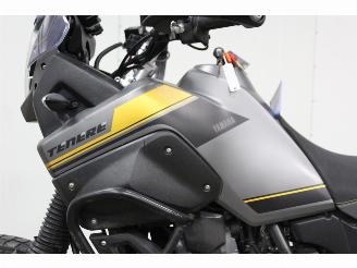 Yamaha XT 660 Z Tenere ABS picture 13