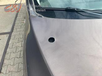 Mercedes Citan Citan (415.7), MPV, 2012 / 2021 1.5 109 CDI Crewbus picture 16