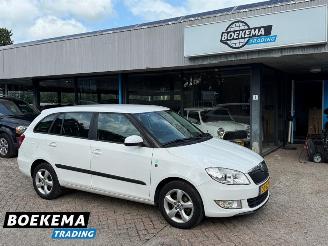 Damaged car Skoda Fabia Combi 1.2 TDI Greenline Airco Cruise 2011/10