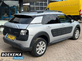 Citroën C4 cactus 1.2 PureTech Shine Navi Climate Cruise PDC picture 2