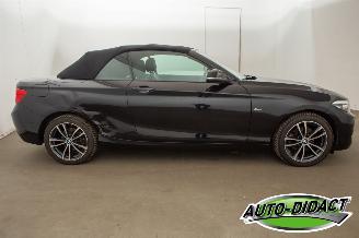 BMW 2-serie 218i Cabrio Clima Navi CARPAS picture 41