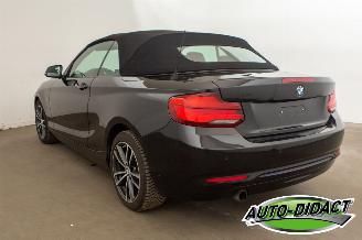 BMW 2-serie 218i Cabrio Clima Navi CARPAS picture 7