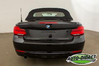 BMW 2-serie 218i Cabrio Clima Navi CARPAS picture 38