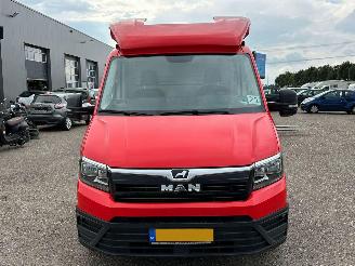 MAN TGE 35 2.0 LANG Airco picture 44