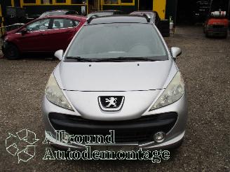 Peugeot 207 207 SW (WE/WU) Combi 1.4 16V Vti (EP3(8FS)) [70kW]  (06-2007/10-2013) picture 5