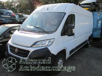 Auto da rottamare Fiat Ducato Ducato (250) Van 2.3 D 130 Multijet (F1AGL411D(Euro 6)) [96kW]  (08-20=
06/...) 2017