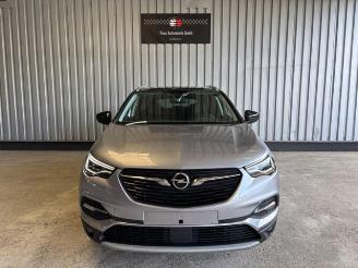Opel Grandland (X) 120 Jahre R-Kamera / Navi / LED picture 8