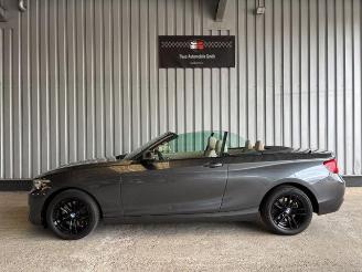 BMW 2-serie 0d Advantage Cabriolet LED / Navigation picture 4