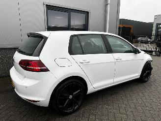 Volkswagen e-Golf e-Golf picture 28