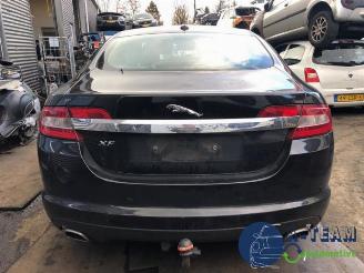 Sloopauto Jaguar XF XF (CC9), Sedan, 2008 / 2015 3.0 D V6 24V 2010/8
