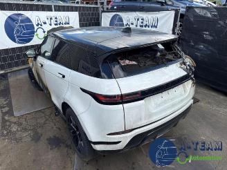 Autoverwertung Land Rover Range Rover Range Rover Evoque II (LZC/LZS/LZH), SUV, 2018 2.0 P250 MHEV 16V AWD 2019/8
