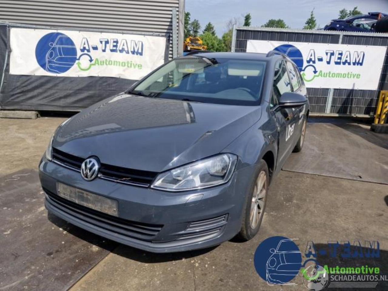 Volkswagen Golf Golf VII Variant (AUVV), Combi, 2013 / 2021 1.6 TDI BlueMotion 16V
