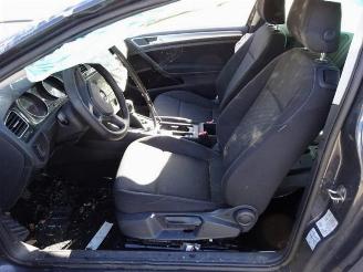 Volkswagen Golf Golf VII (AUA), Hatchback, 2012 / 2021 1.6 TDI BMT 16V picture 10