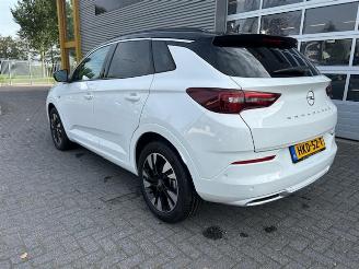 Opel Grandland 1.2 Turbo Level 3 picture 2