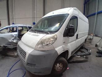 ojeté vozy osobní automobily Fiat Ducato Ducato (250) Van 2.3 D 120 Multijet (F1AE0481D) [88kW]  (07-2006/...) 2007/4