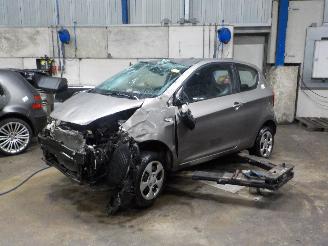 Vrakbiler auto Kia Picanto Picanto (TA) Hatchback 1.0 12V (G3LA) [51kW]  (05-2011/06-2017) 2013/9