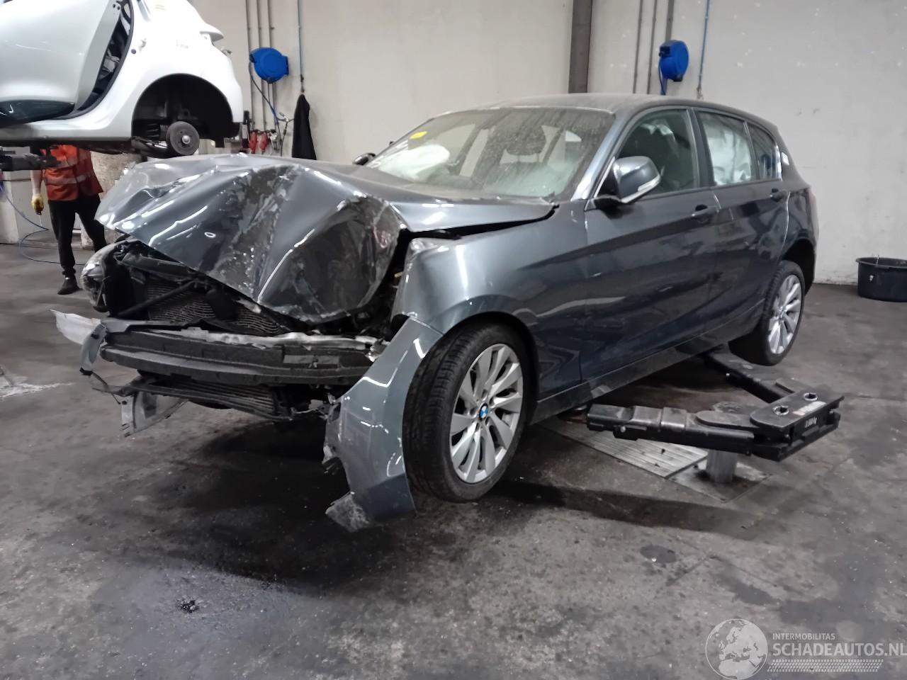 BMW 1-serie 1 serie (F20) Hatchback 5-drs 116i 1.6 16V (N13-B16A) [100kW]  (07-201=
1/02-2015)