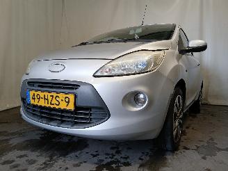 škoda osobní automobily Ford Ka Ka II Hatchback 1.2 (169.A.4000(Euro 4; Euro 5)) [51kW]  (10-2008/05-2=
016) 2009/4