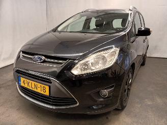 Coche accidentado Ford Grand C-Max Grand C-Max (DXA) MPV 1.0 Ti-VCT EcoBoost 12V 125 (M1DA(Euro 5)) [92kW=
]  (10-2012/06-2019) 2013/6