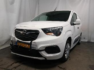  Opel Combo Combo Cargo Van 1.5 CDTI 100 (D15DT(DV5RD)) [75kW]  (08-2018/...) 2019/10