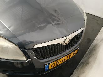 Skoda Roomster Roomster (5J) MPV 1.4 16V (CGGB) [63kW]  (09-2006/05-2015) picture 23