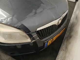 Skoda Roomster Roomster (5J) MPV 1.4 16V (CGGB) [63kW]  (09-2006/05-2015) picture 21