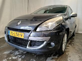  Renault Scenic Scénic III (JZ) MPV 1.4 16V TCe 130 (H4J-700(H4J-A7)) [96kW]  (02-20=
09/09-2016) 2010/6