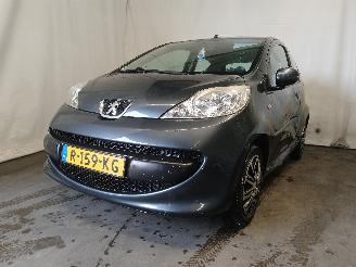 škoda osobní automobily Peugeot 107 107 Hatchback 1.0 12V (384F(1KR)) [50kW]  (06-2005/05-2014) 2009/2
