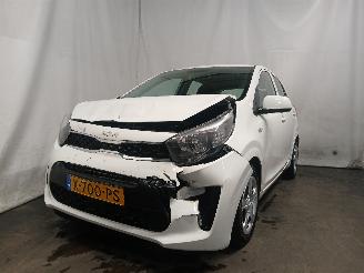 Avarii autoturisme Kia Picanto Picanto (JA) Hatchback 1.0 DPI 12V (G3LD) [46kW]  (05-2024/...) 2024/1