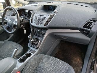 Ford C-Max C-Max (DXA) MPV 1.0 Ti-VCT EcoBoost 12V 125 (M1DA(Euro 5)) [92kW]  (10=
-2012/06-2019) picture 8