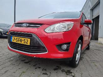 škoda osobní automobily Ford Grand C-Max Grand C-Max (DXA) MPV 1.0 Ti-VCT EcoBoost 12V 125 (M1DA(Euro 5)) [92kW=
]  (10-2012/06-2019) 2013/9