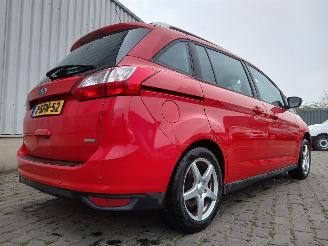 Ford Grand C-Max Grand C-Max (DXA) MPV 1.0 Ti-VCT EcoBoost 12V 125 (M1DA(Euro 5)) [92kW=
]  (10-2012/06-2019) picture 6