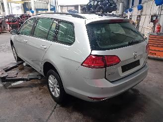 Volkswagen Golf Golf VII Variant (AUVV) Combi 1.6 TDI BlueMotion 16V (CRKB) [81kW]  (0=
5-2013/12-2020) picture 4