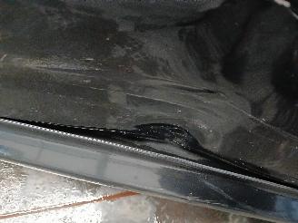 Audi A8 A8 (D3) Sedan 4.2 V8 40V FSI Quattro (BVJ) [257kW]  (06-2006/07-2010) picture 28