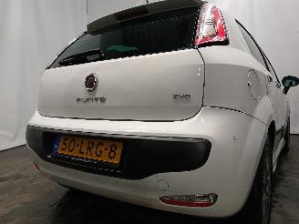 Fiat Punto Punto Evo (199) Hatchback 1.4 16V MultiAir Start&Stop (955.A.6000(Euro=
 5)) [77kW]  (10-2009/02-2012) picture 5