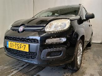 Damaged car Fiat Panda Panda/Pandina (312) Hatchback 0.9 TwinAir Turbo 85 (312.A.2000) [63kW]=
  (02-2012/...) 2012/3