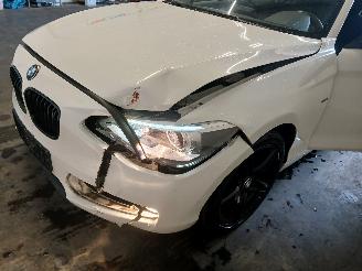 BMW 1-serie 1 serie (F20) Hatchback 5-drs 116i 1.6 16V (N13-B16A) [100kW]  (07-201=
1/02-2015) picture 23