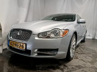 Schadeauto Jaguar XF XF (CC9) Sedan 2.7 D V6 24V (7G(AJ-TDV6)) [152kW]  (03-2008/04-2015) 2008/6