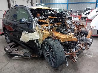 BMW X3 X3 (G01) SUV xDrive 20i 2.0 TwinPower Turbo 16V (B48-B20A) [135kW]  (1=
2-2017/...) picture 2